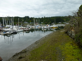 Filename=P1080815.JPG
Filesize=5857KiB
Dimensions=4320x3240
Date added=Aug 10, 2020 P1080815.JPG