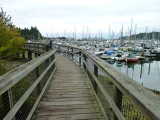 Filename=P1080821.JPG
Filesize=5826KiB
Dimensions=4320x3240
Date added=Aug 10, 2020 P1080821.JPG