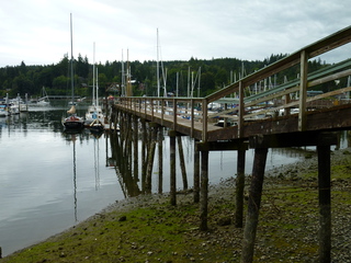 Filename=P1080822.JPG
Filesize=5497KiB
Dimensions=4320x3240
Date added=Aug 10, 2020 P1080822.JPG