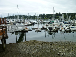 Filename=P1080825.JPG
Filesize=5992KiB
Dimensions=4320x3240
Date added=Aug 10, 2020 P1080825.JPG