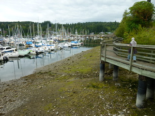 Filename=P1080826.JPG
Filesize=5395KiB
Dimensions=4320x3240
Date added=Aug 10, 2020 P1080826.JPG