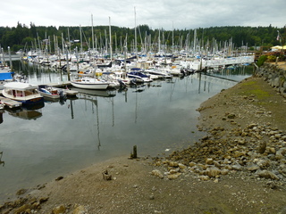 Filename=P1080833.JPG
Filesize=5820KiB
Dimensions=4320x3240
Date added=Aug 10, 2020 P1080833.JPG