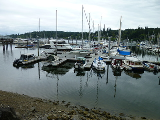 Filename=P1080834.JPG
Filesize=5496KiB
Dimensions=4320x3240
Date added=Aug 10, 2020 P1080834.JPG