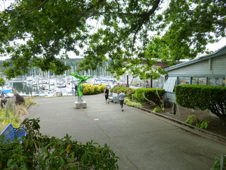 Filename=P1080841.JPG
Filesize=5600KiB
Dimensions=4320x3240
Date added=Aug 10, 2020 P1080841.JPG