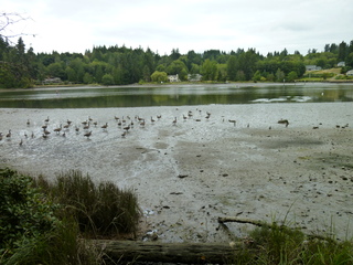 Filename=P1080844.JPG
Filesize=5841KiB
Dimensions=4320x3240
Date added=Aug 10, 2020 P1080844.JPG