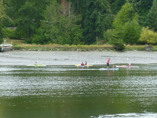 Filename=P1080845.JPG
Filesize=5766KiB
Dimensions=4320x3240
Date added=Aug 10, 2020 P1080845.JPG