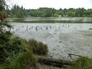 Filename=P1080849.JPG
Filesize=5988KiB
Dimensions=4320x3240
Date added=Aug 10, 2020 P1080849.JPG