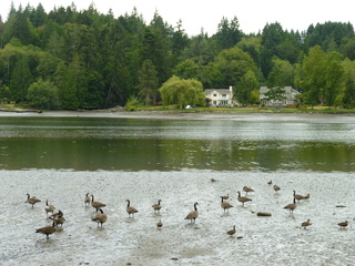 Filename=P1080851.JPG
Filesize=6035KiB
Dimensions=4320x3240
Date added=Aug 10, 2020 P1080851.JPG