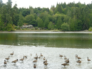 Filename=P1080854.JPG
Filesize=5764KiB
Dimensions=4320x3240
Date added=Aug 10, 2020 P1080854.JPG