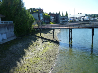 Filename=P1080861.JPG
Filesize=5919KiB
Dimensions=4320x3240
Date added=Aug 10, 2020 P1080861.JPG