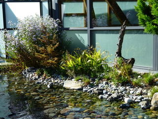 Filename=P1080870.JPG
Filesize=5589KiB
Dimensions=4320x3240
Date added=Aug 10, 2020 P1080870.JPG