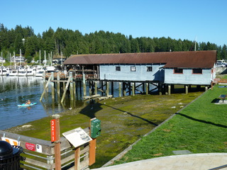 Filename=P1080877.JPG
Filesize=5184KiB
Dimensions=4320x3240
Date added=Aug 10, 2020 P1080877.JPG