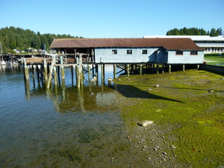 Filename=P1080879.JPG
Filesize=5552KiB
Dimensions=4320x3240
Date added=Aug 10, 2020 P1080879.JPG