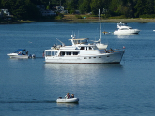 Filename=P1080892.JPG
Filesize=5495KiB
Dimensions=4320x3240
Date added=Aug 10, 2020 P1080892.JPG