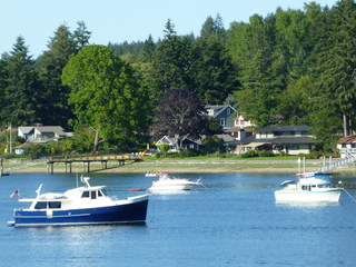 Filename=P1080893.JPG
Filesize=5876KiB
Dimensions=4320x3240
Date added=Aug 10, 2020 P1080893.JPG