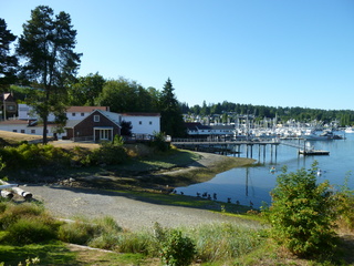 Filename=P1080895.JPG
Filesize=5588KiB
Dimensions=4320x3240
Date added=Aug 10, 2020 P1080895.JPG