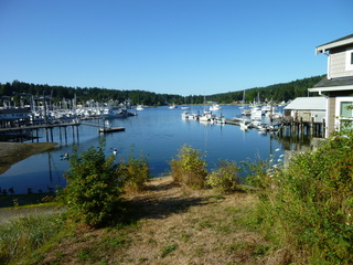 Filename=P1080896.JPG
Filesize=5310KiB
Dimensions=4320x3240
Date added=Aug 10, 2020 P1080896.JPG