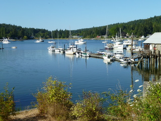 Filename=P1080897.JPG
Filesize=5835KiB
Dimensions=4320x3240
Date added=Aug 10, 2020 P1080897.JPG