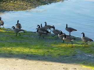 Filename=P1080898.JPG
Filesize=5582KiB
Dimensions=4320x3240
Date added=Aug 10, 2020 P1080898.JPG