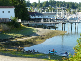 Filename=P1080899.JPG
Filesize=5410KiB
Dimensions=4320x3240
Date added=Aug 10, 2020 P1080899.JPG