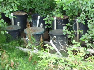 Filename=P1080900.JPG
Filesize=5605KiB
Dimensions=4320x3240
Date added=Aug 13, 2020 P1080900.JPG