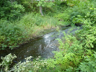 Filename=P1080901.JPG
Filesize=5612KiB
Dimensions=4320x3240
Date added=Aug 13, 2020 P1080901.JPG