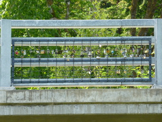 Filename=P1080906.JPG
Filesize=5767KiB
Dimensions=4320x3240
Date added=Aug 13, 2020 P1080906.JPG