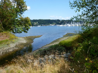 Filename=P1080908.JPG
Filesize=5681KiB
Dimensions=4320x3240
Date added=Aug 13, 2020 P1080908.JPG