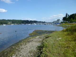 Filename=P1080910.JPG
Filesize=5446KiB
Dimensions=4320x3240
Date added=Aug 13, 2020 P1080910.JPG