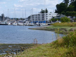 Filename=P1080911.JPG
Filesize=5335KiB
Dimensions=4320x3240
Date added=Aug 13, 2020 P1080911.JPG