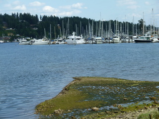 Filename=P1080912.JPG
Filesize=5527KiB
Dimensions=4320x3240
Date added=Aug 13, 2020 P1080912.JPG