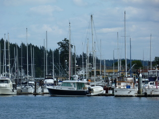 Filename=P1080913.JPG
Filesize=5163KiB
Dimensions=4320x3240
Date added=Aug 13, 2020 P1080913.JPG