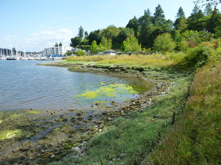 Filename=P1080916.JPG
Filesize=5566KiB
Dimensions=4320x3240
Date added=Aug 13, 2020 P1080916.JPG