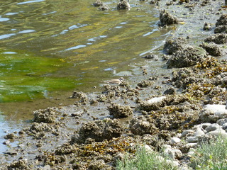 Filename=P1080918.JPG
Filesize=5651KiB
Dimensions=4320x3240
Date added=Aug 13, 2020 P1080918.JPG