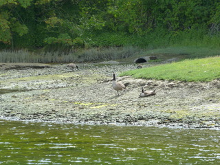 Filename=P1080923.JPG
Filesize=5494KiB
Dimensions=4320x3240
Date added=Aug 13, 2020 P1080923.JPG