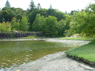 Filename=P1080924.JPG
Filesize=5581KiB
Dimensions=4320x3240
Date added=Aug 13, 2020 P1080924.JPG