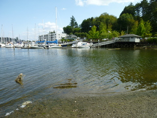 Filename=P1080925.JPG
Filesize=5804KiB
Dimensions=4320x3240
Date added=Aug 13, 2020 P1080925.JPG