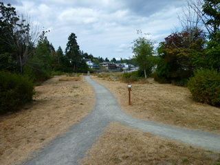 Filename=P1080929.JPG
Filesize=5538KiB
Dimensions=4320x3240
Date added=Aug 13, 2020 P1080929.JPG