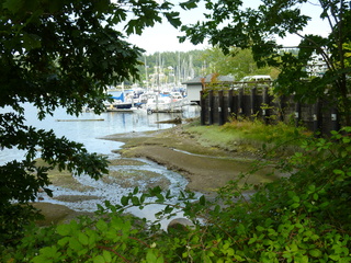 Filename=P1080931.JPG
Filesize=5871KiB
Dimensions=4320x3240
Date added=Aug 13, 2020 P1080931.JPG