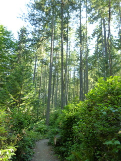 Filename=P1090003.JPG
Filesize=4871KiB
Dimensions=3240x4320
Date added=Aug 13, 2020 P1090003.JPG