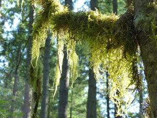 Filename=P1090005.JPG
Filesize=5941KiB
Dimensions=4320x3240
Date added=Aug 13, 2020 P1090005.JPG