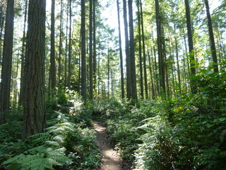 Filename=P1090007.JPG
Filesize=5730KiB
Dimensions=4320x3240
Date added=Aug 13, 2020 P1090007.JPG