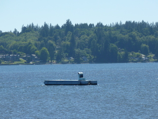 Filename=P1090016.JPG
Filesize=5525KiB
Dimensions=4320x3240
Date added=Aug 26, 2020 P1090016.JPG