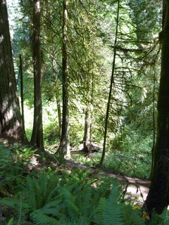 Filename=P1090022.JPG
Filesize=4725KiB
Dimensions=3240x4320
Date added=Aug 26, 2020 P1090022.JPG