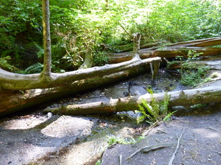 Filename=P1090023.JPG
Filesize=6028KiB
Dimensions=4320x3240
Date added=Aug 26, 2020 P1090023.JPG