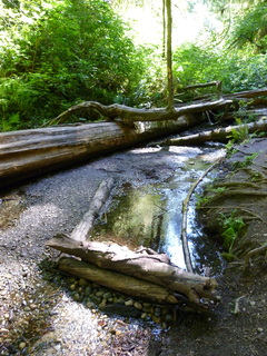 Filename=P1090025.JPG
Filesize=4892KiB
Dimensions=3240x4320
Date added=Aug 26, 2020 P1090025.JPG