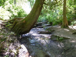 Filename=P1090026.JPG
Filesize=5535KiB
Dimensions=4320x3240
Date added=Aug 26, 2020 P1090026.JPG