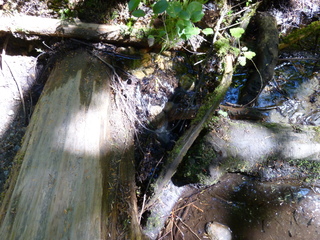 Filename=P1090027.JPG
Filesize=6058KiB
Dimensions=4320x3240
Date added=Aug 26, 2020 P1090027.JPG