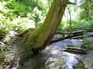 Filename=P1090028.JPG
Filesize=5669KiB
Dimensions=4320x3240
Date added=Aug 26, 2020 P1090028.JPG