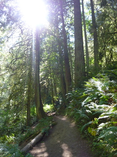 Filename=P1090030.JPG
Filesize=5365KiB
Dimensions=3240x4320
Date added=Aug 26, 2020 P1090030.JPG